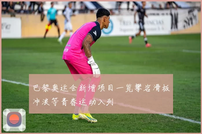 巴黎奥运会新增项目一览攀岩滑板冲浪等青春运动入列